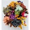 Assortimento 10 fili DMC assortiti fine serie